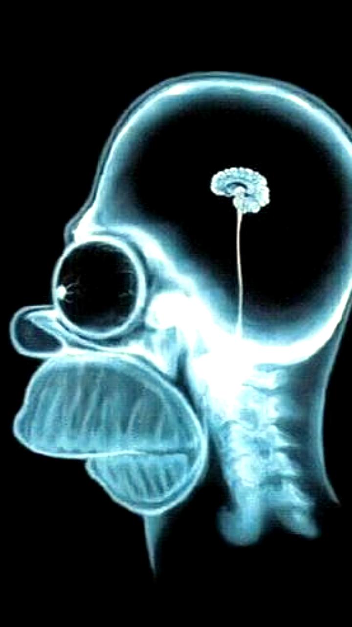 Опрос: каждый пятый россиянин считает, что Солнце вращается вокруг Земли