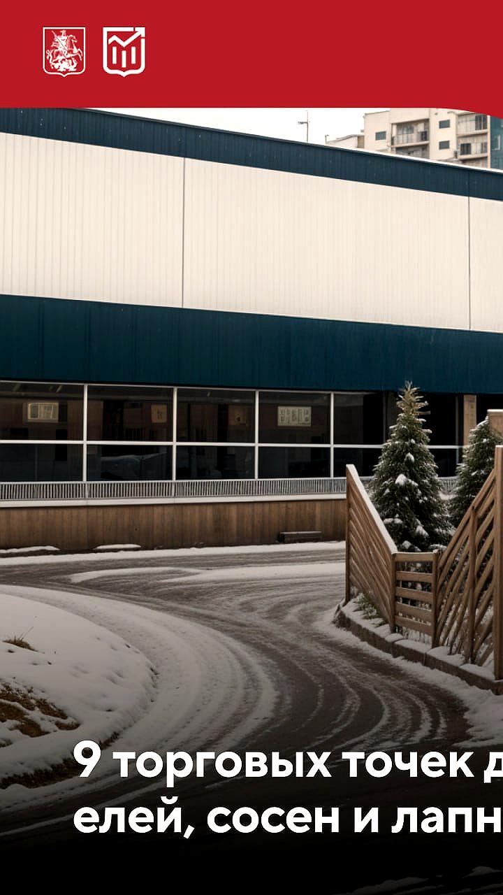 Городские торги на размещение елочных базаров: Москва и Орск объявляют результаты