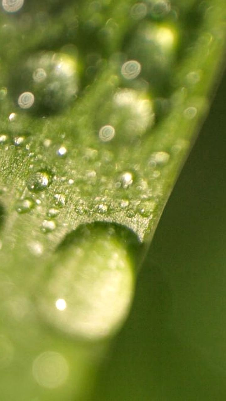 Ставрополье планирует 14 мелиоративных проектов с господдержкой в 2026 году