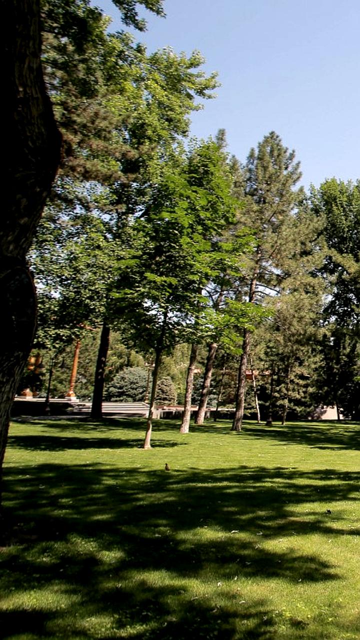 Узбекистан вводит инициативу по запрету на изъятие земель с деревьями