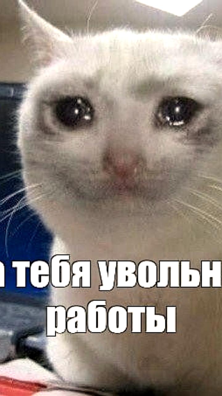 В России предложены компенсации за вынужденное увольнение