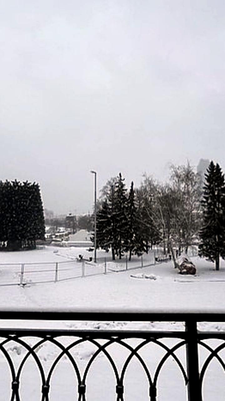 Екатеринбург может перейти на деревянные скульптуры в новогоднем городке из-за потепления