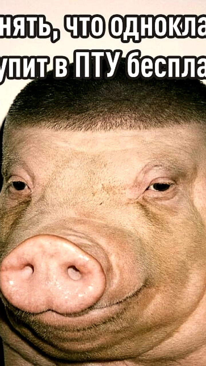 В Новороссийске учителей оштрафовали за неэффективный контроль на ЕГЭ, 30 учеников не получили аттестаты