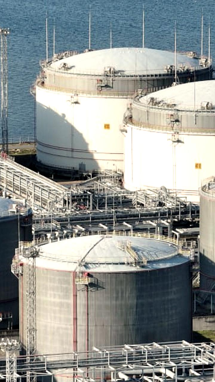 Суд отклонил запрос Росимущества о собрании акционеров Петербургского нефтяного терминала