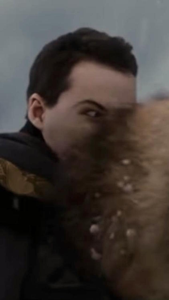 Выход волков в населенные пункты Поморья и Тульской области: сезон охоты в разгаре