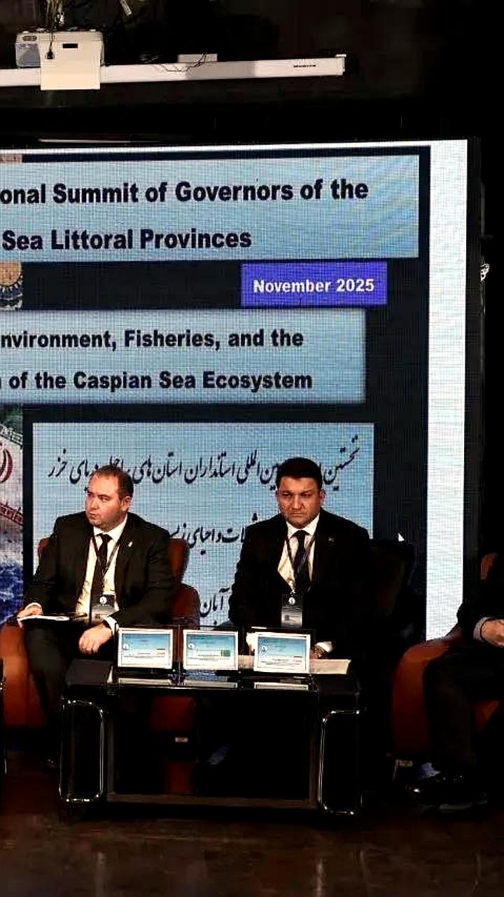 Обмеление Каспийского моря: Казахстан обсуждает причины и последствия