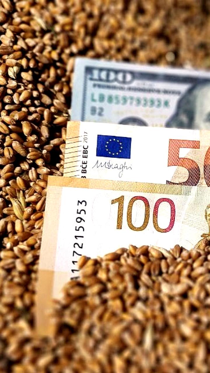 Ставки льготного кредитования в АПК вернутся к уровню 1-5% в 2026 году, сообщает министр Оксана Лут