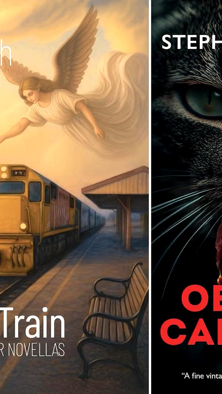 Две новозеландские писательницы дисквалифицированы за использование ИИ на обложках книг