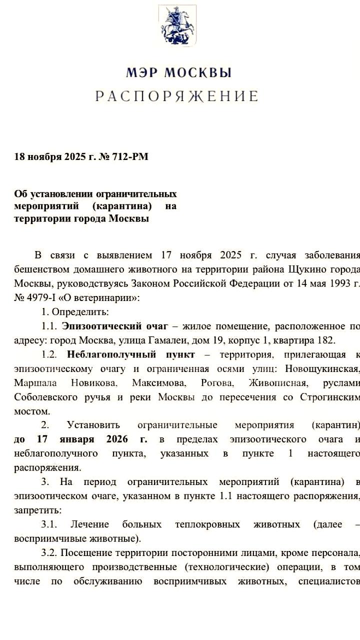 Карантин в Москве из-за вспышки бешенства в районе Щукино