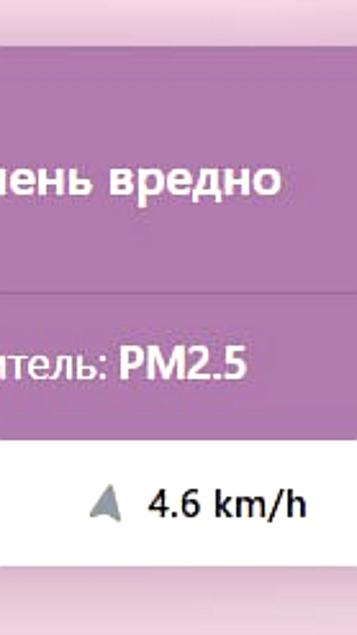 Уровень загрязнения воздуха в Ташкенте превышает нормы ВОЗ