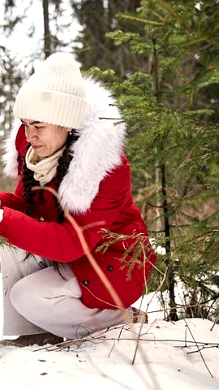 Минэкология Якутии напоминает о правилах заготовки новогодних елей