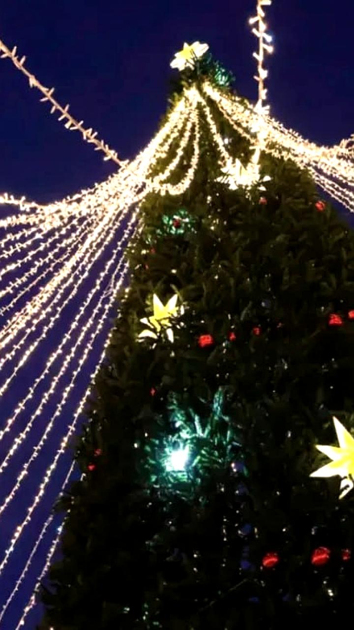 Ёлки Забайкалья и Хабаровска украсят игрушки от жителей и предприятий