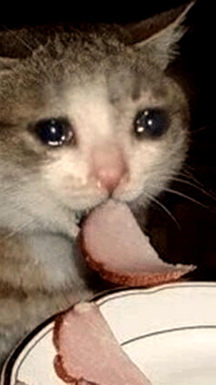 Подорожание колбасы перед Новым годом: причины и прогнозы