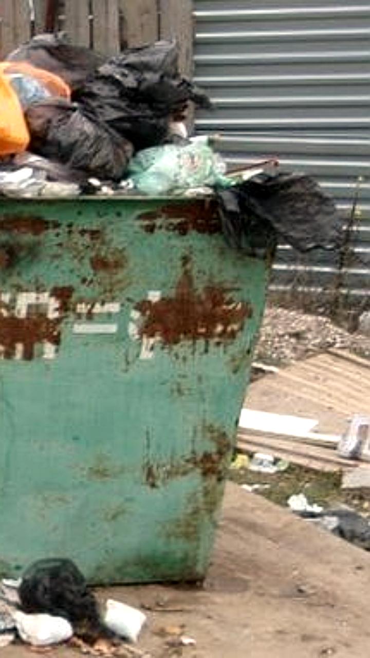 Нижегородская область планирует ликвидировать 180 нелегальных свалок к 2025 году