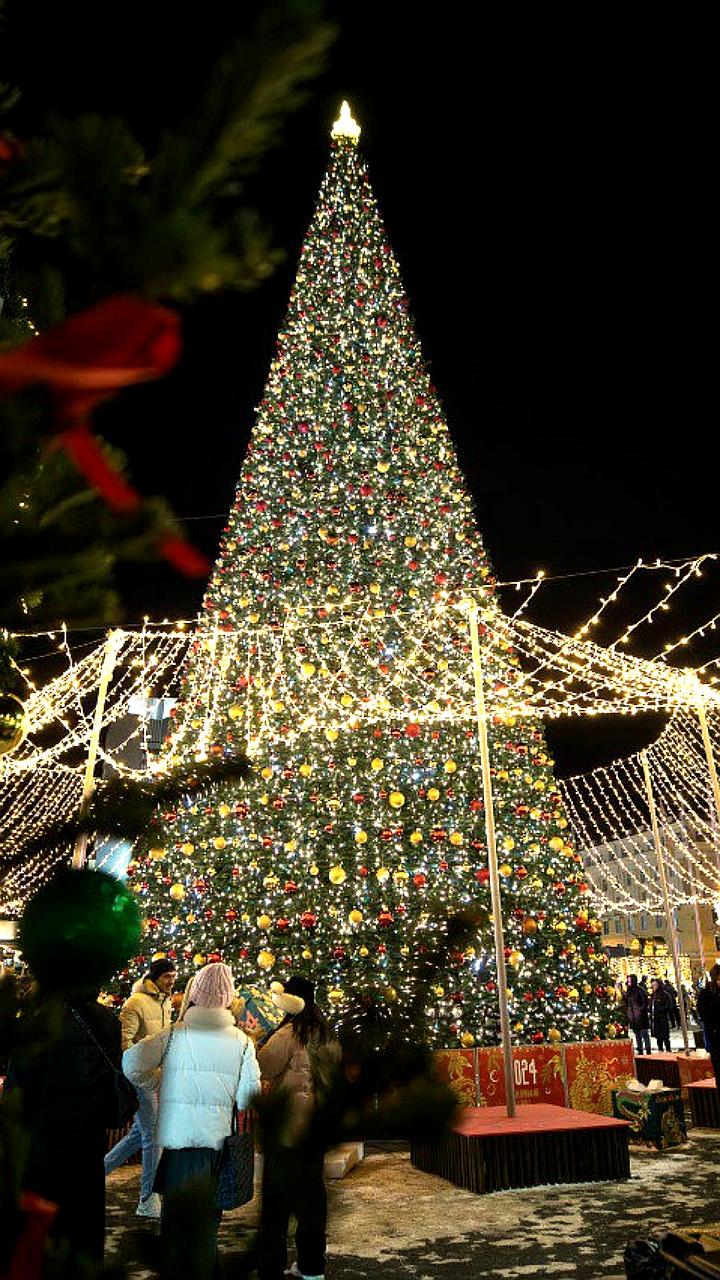 Владивосток готовится к Новому году: монтаж елки и благотворительная акция