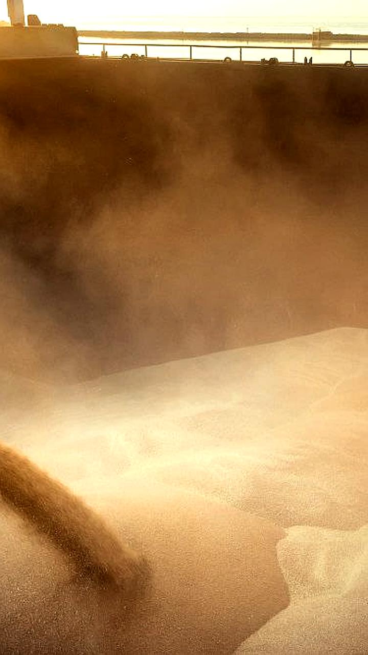 Россия инициирует сотрудничество в инновационном сельском хозяйстве в рамках ШОС