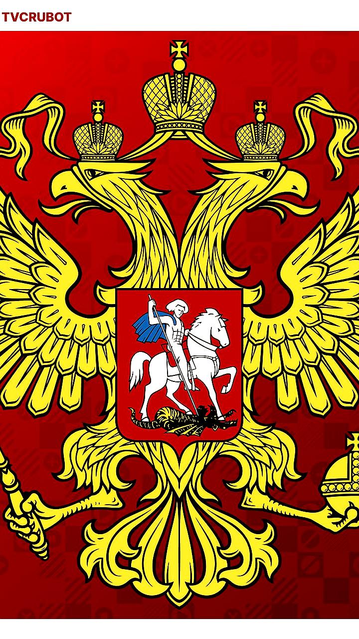 Вячеслав Володин предложил законопроект о защите государственных символов России
