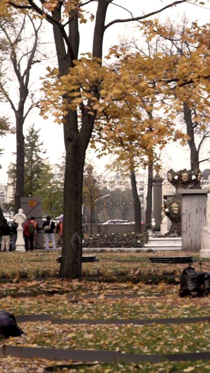 Летний сад в Петербурге переходит на зимний режим работы