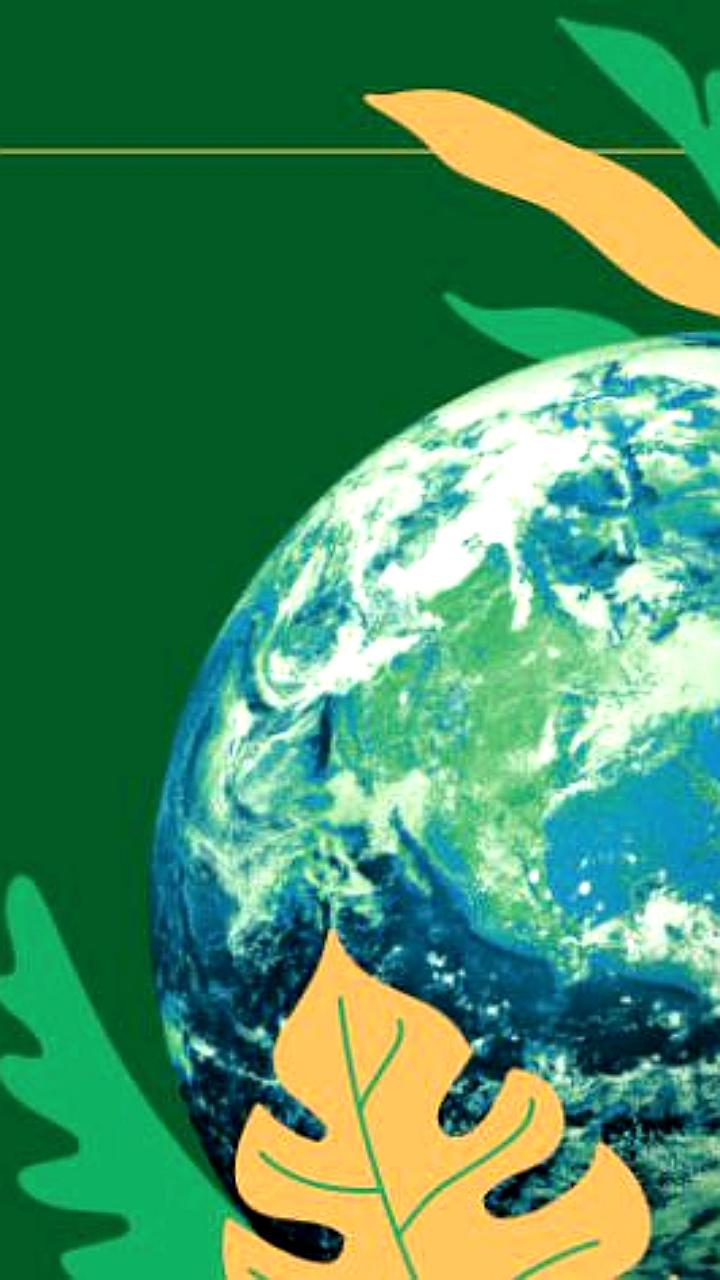 Азербайджан координирует Глобальный обзор Парижского соглашения на COP30 в Бразилии