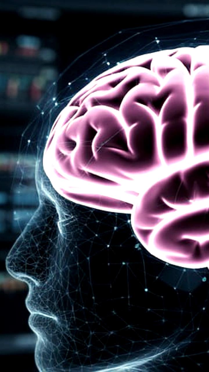 Ученые разрабатывают цифровую модель мозга для улучшения нейрохирургии