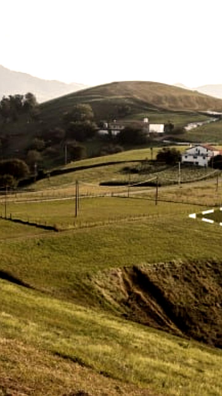 Совет Федерации одобрил новый порядок перевода земель сельхозназначения