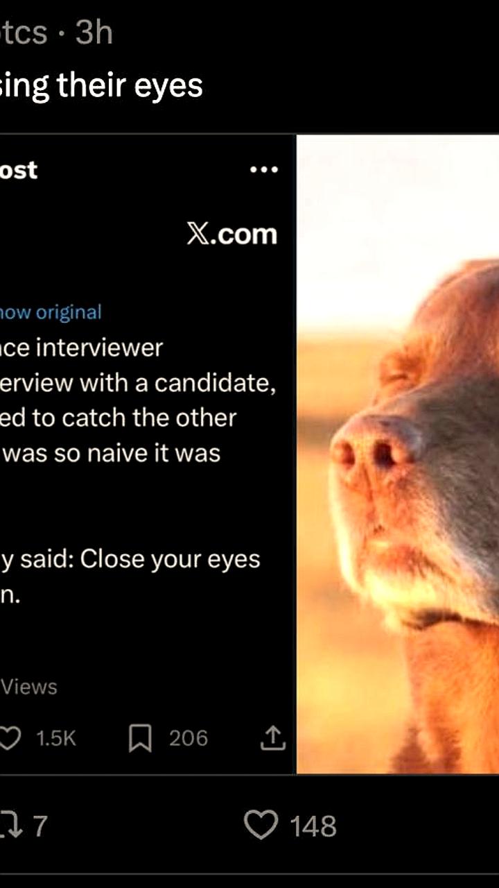 ByteDance применяет необычный метод собеседования для выявления кандидатов с ИИ