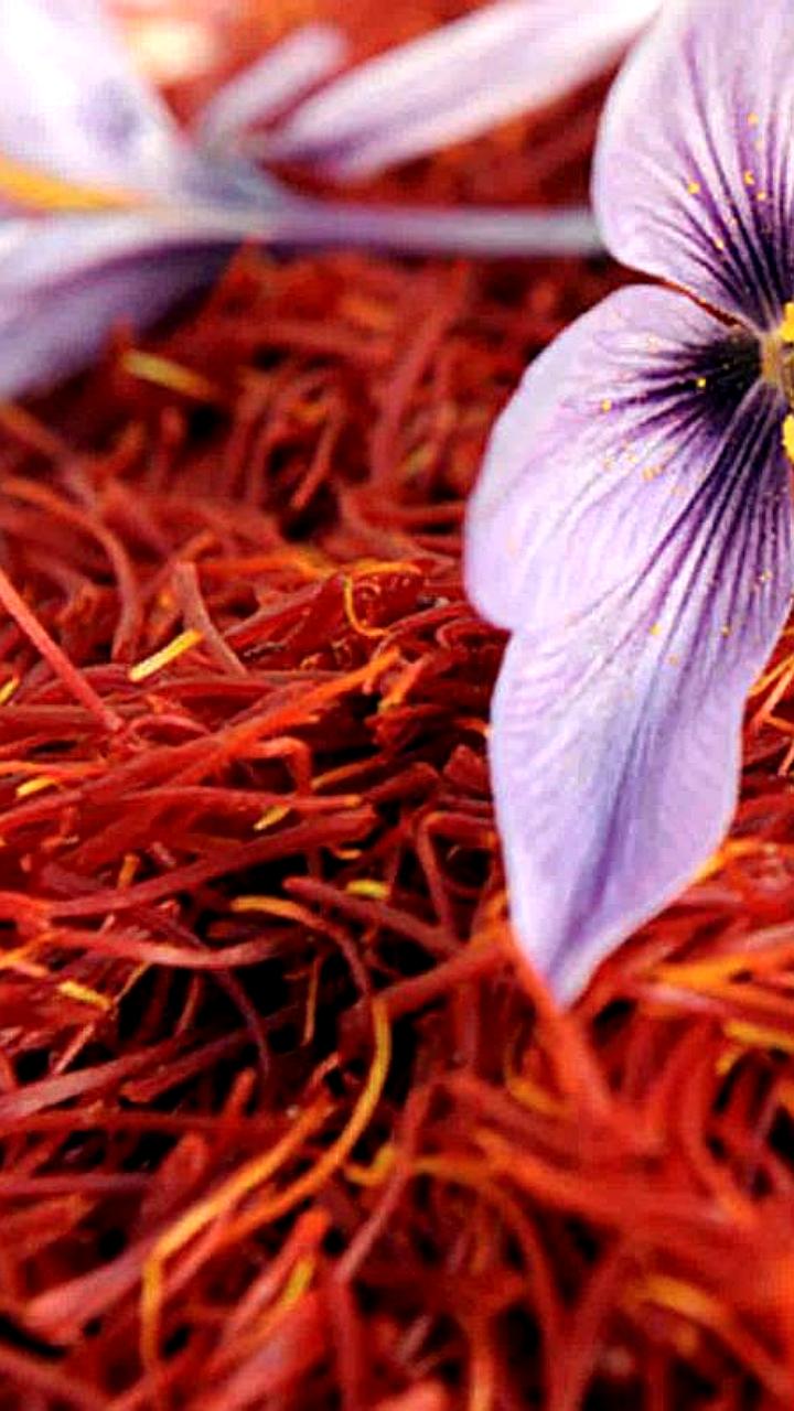 Шафран: натуральный антидепрессант и улучшитель потенции