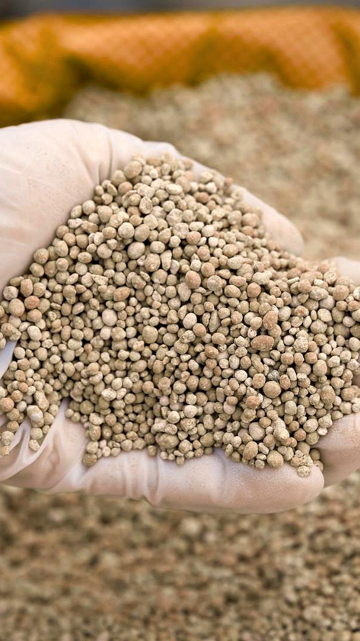 Прогноз: производство удобрений в России достигнет рекорда в 65 млн тонн к 2025 году