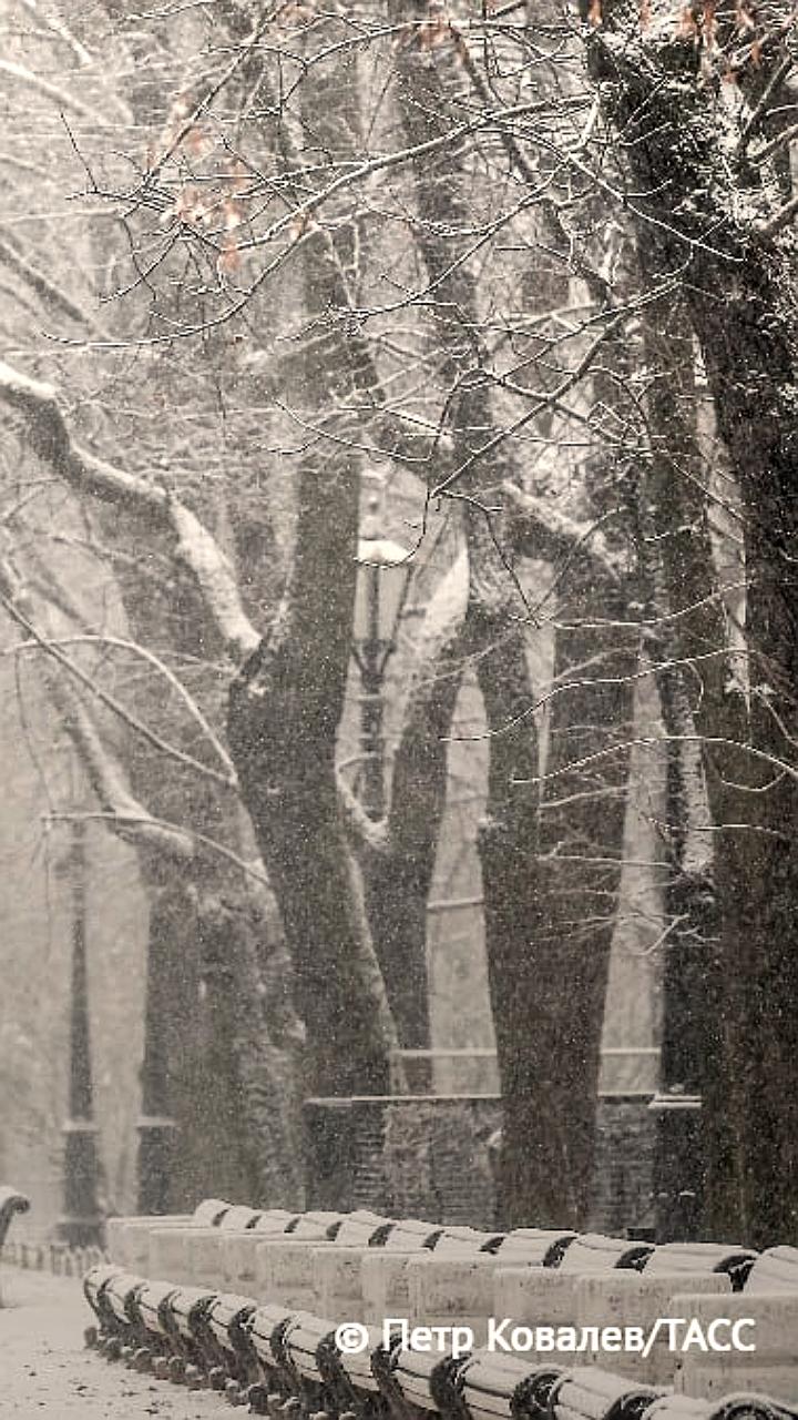 90% территории России покрыто снегом, сообщает Гидрометцентр