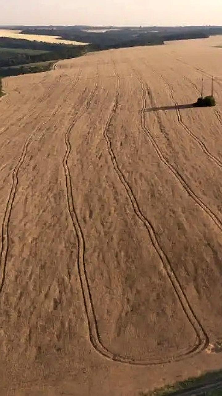 Нейросеть для точного земледелия повышает урожайность на Кубани