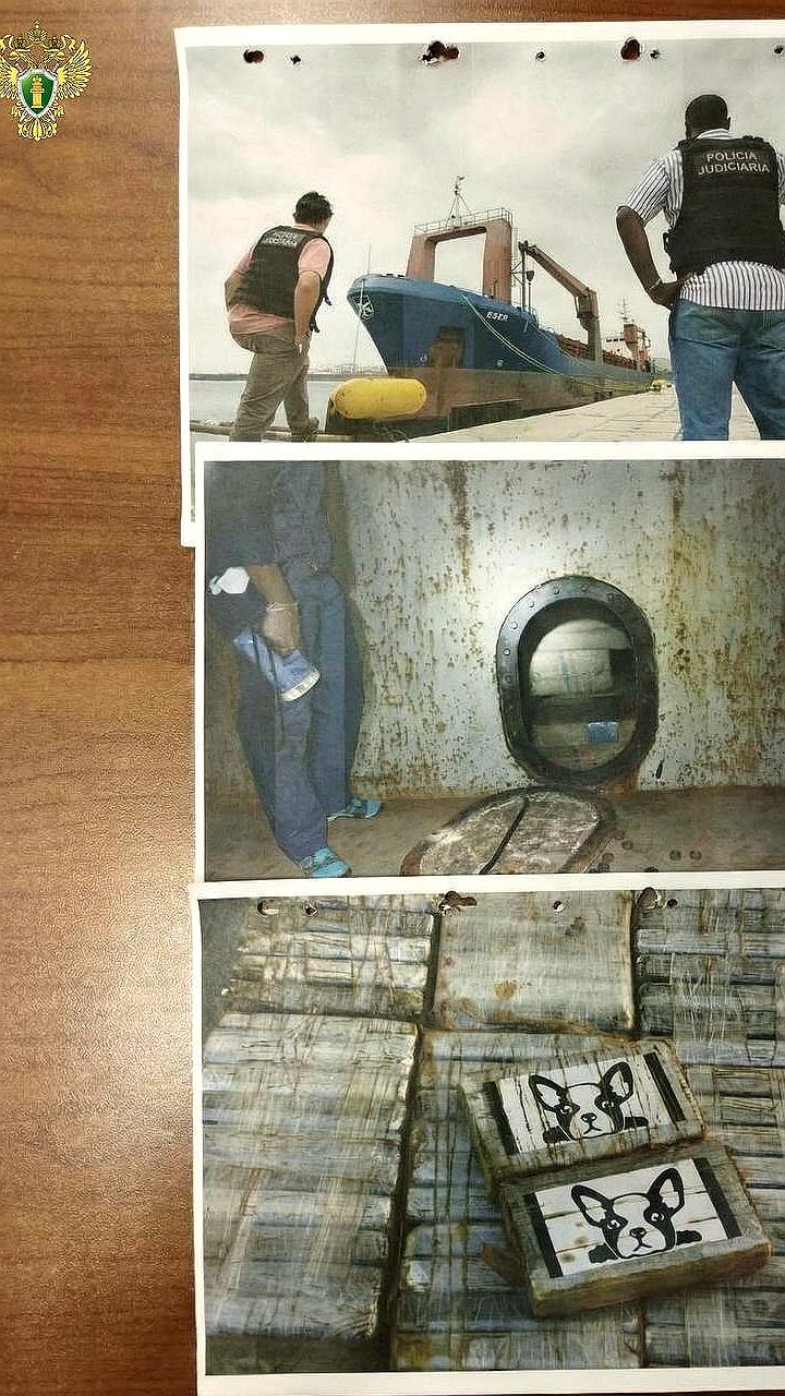 Жительницу Белгородской области обвиняют в организации контрабанды 9 тонн кокаина из Венесуэлы