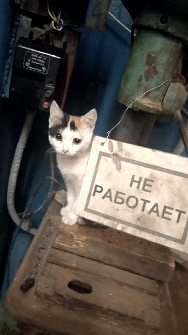 Россияне смогут увеличить отпуск до 59 дней в 2026 году