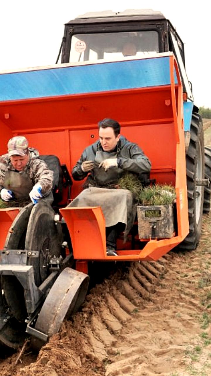 В Волгоградской области завершилась масштабная высадка почти миллиона деревьев