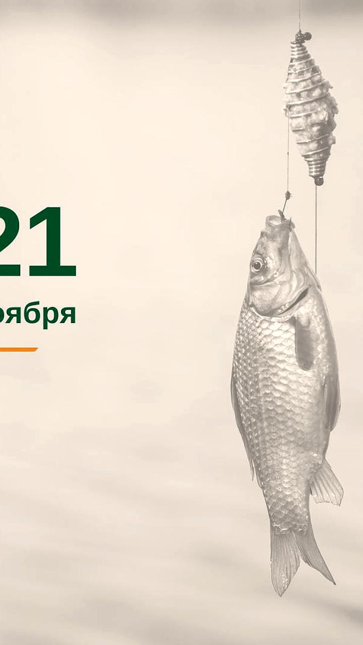 Россия занимает лидирующие позиции в экспорте продовольствия в Африку