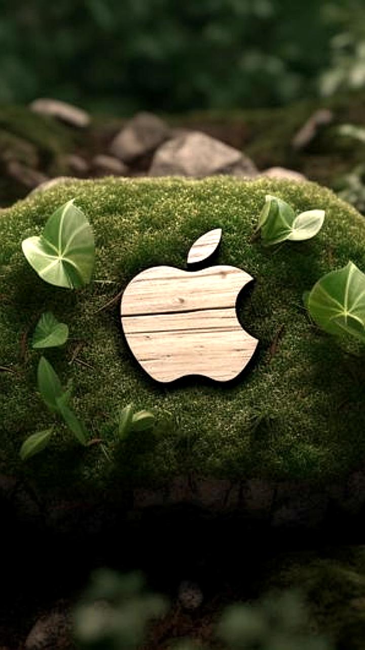 Apple оштрафована на 262 тысячи долларов за нарушения обращения с опасными отходами в США