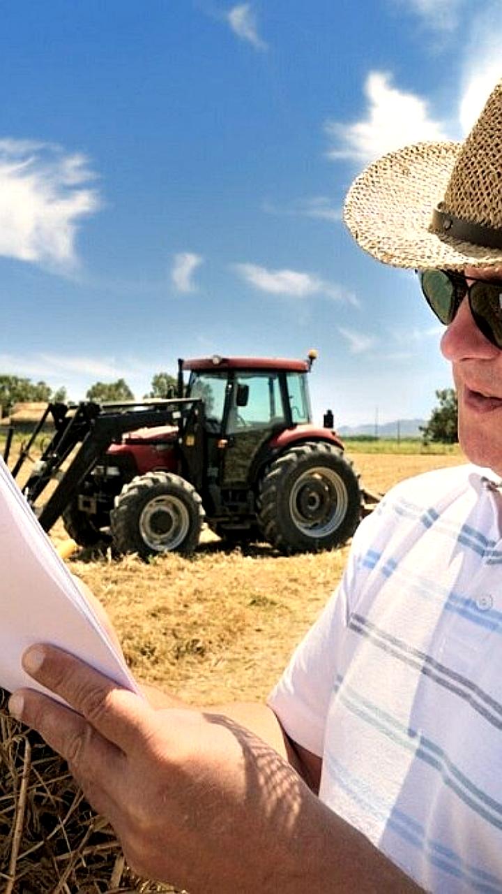 Минсельхоз утвердит порядок установления границ сельхозугодий в России