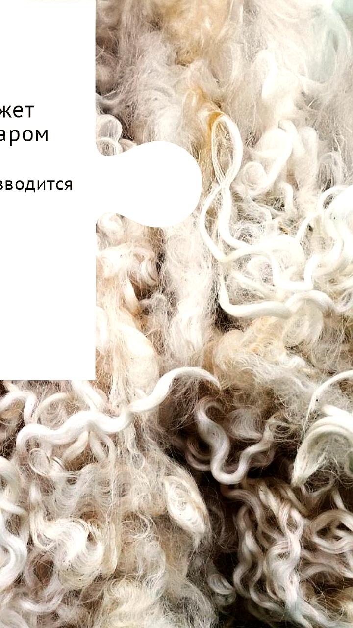 В России планируют сделать шерсть биржевым товаром для повышения рентабельности отрасли