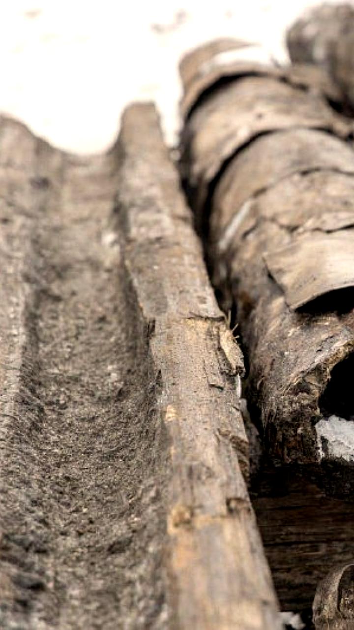 В Выборге обнаружен утраченный герб XV века в канализационном коллекторе