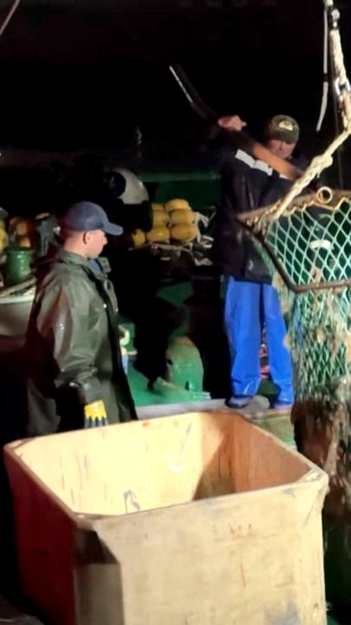 Сахалинские рыбаки завершили лососевую путину с низкими показателями улова