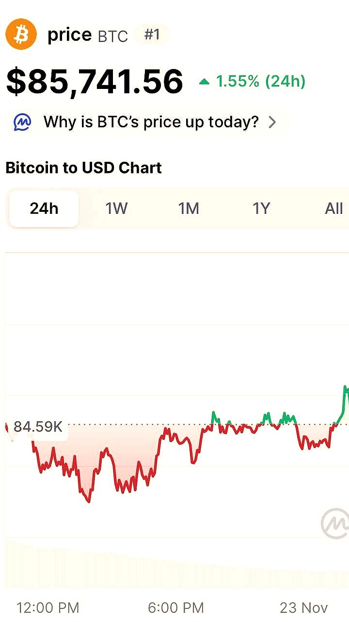 Питер Брандт прогнозирует падение и рост биткоина к 2029 году