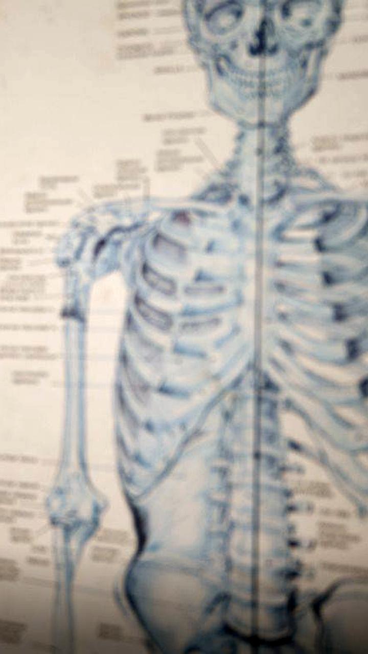 Подробности нового закона об обязательном трудоустройстве выпускников медвузов