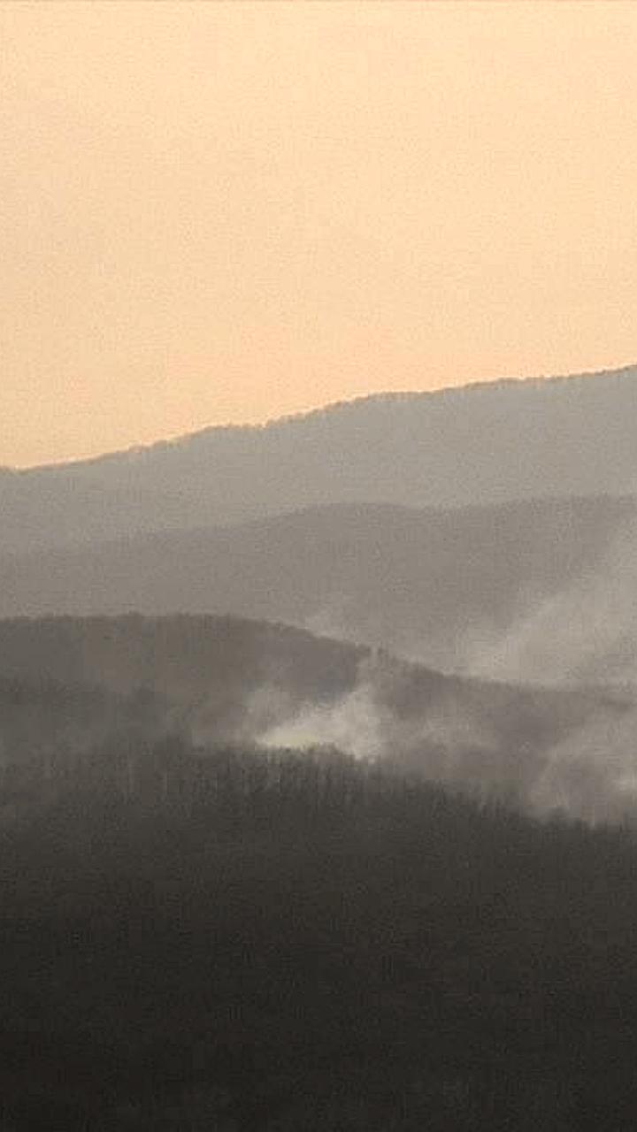 Лесной пожар в Новороссийске локализован после оперативных действий