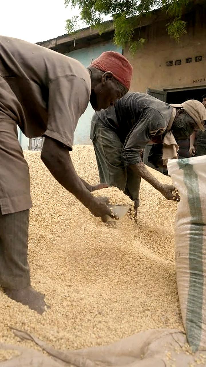 Африканские страны планируют увеличить торговлю с Россией, заявляет генсек AfCFTA Вамкеле Мене