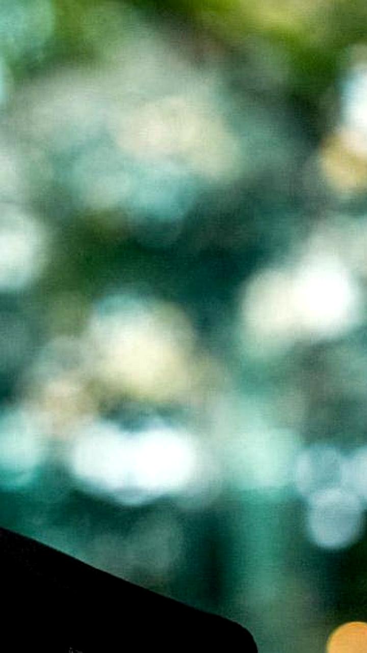 Президент Финляндии и премьер Италии отправились в Вашингтон для обсуждения мирного соглашения по Украине