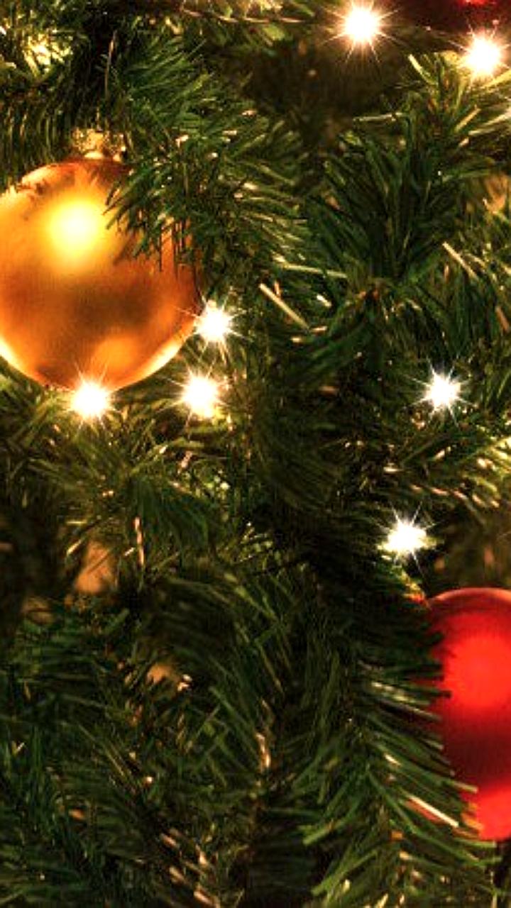 Россияне увеличили спрос на аренду новогодних елок и декора