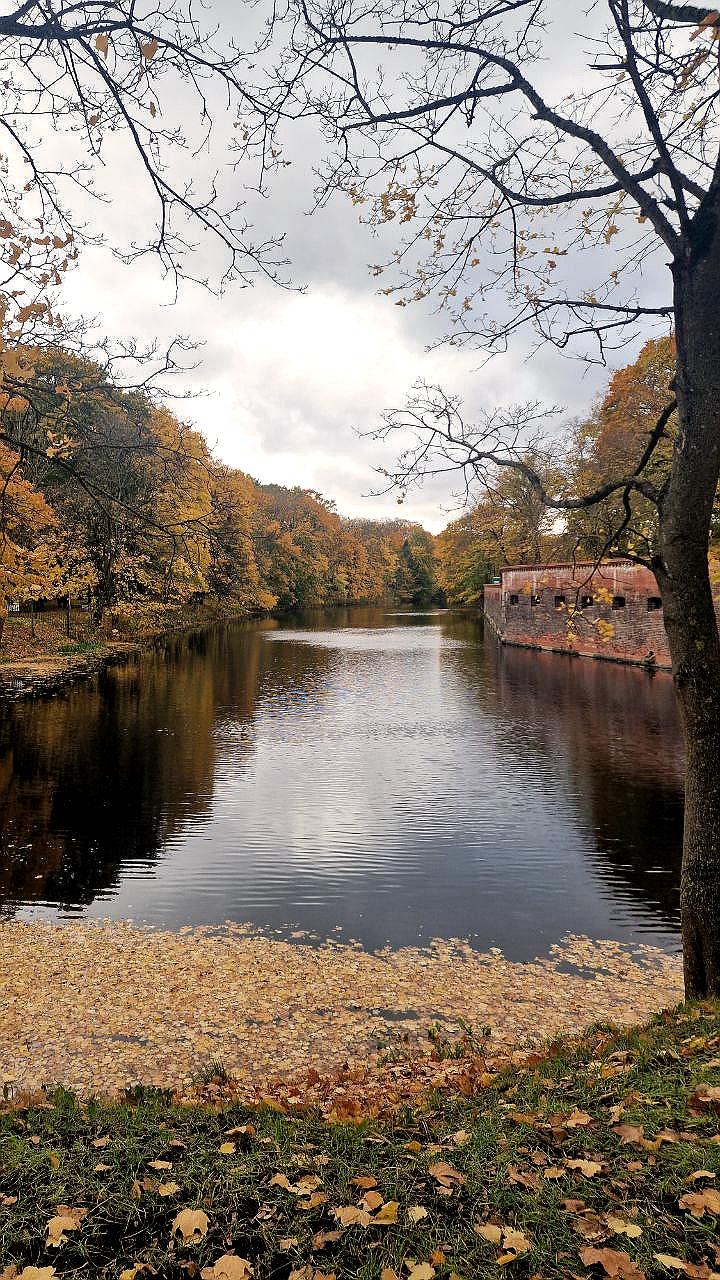 Дагестан, Калининград и Бурятия стали популярными туристическими направлениями в России