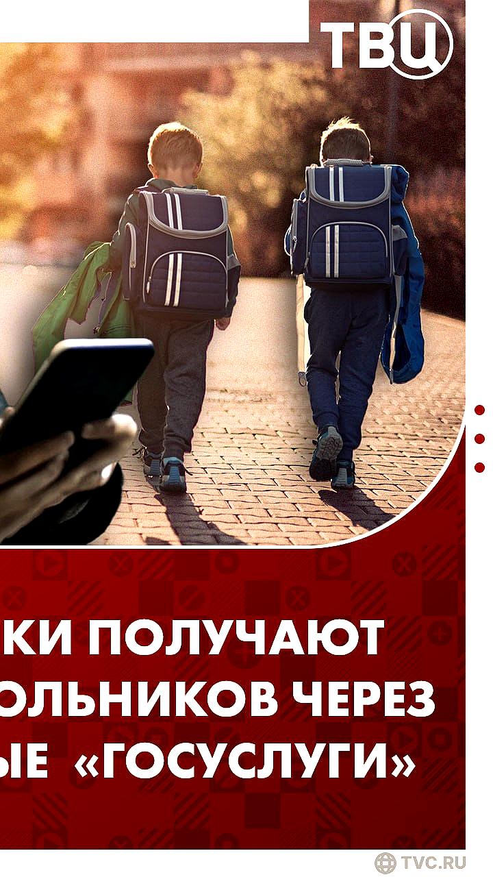 Мошенники маскируют сайты под Минобрнауки и Госуслуги для кражи данных школьников