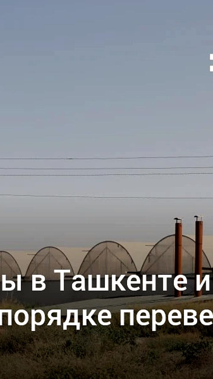 Теплицы в Ташкенте переведут на газовое отопление в течение недели