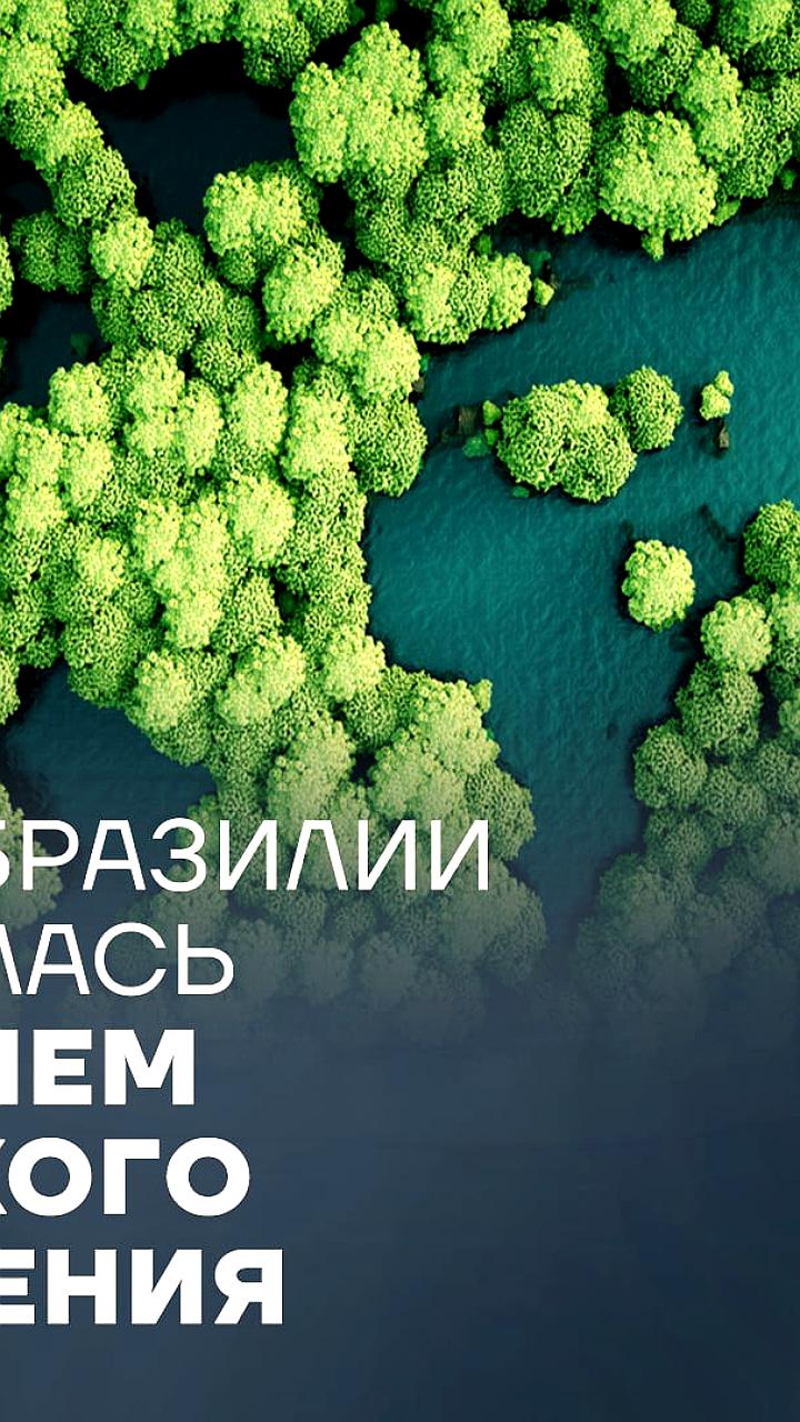 Россия отстояла принципы климатической политики на COP30