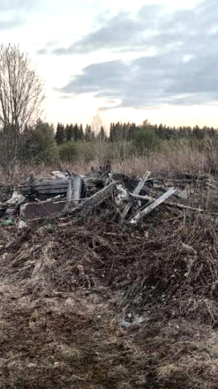 Архангельская область принимает меры по ликвидации более 90 лесных свалок